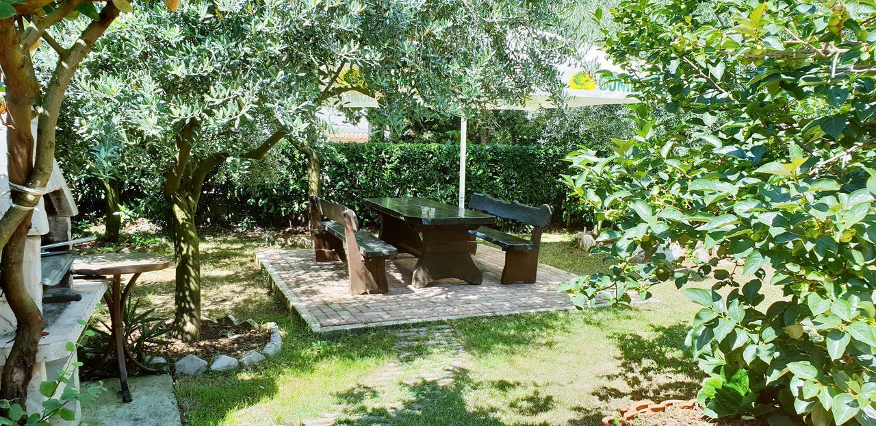 Apartment Tezak